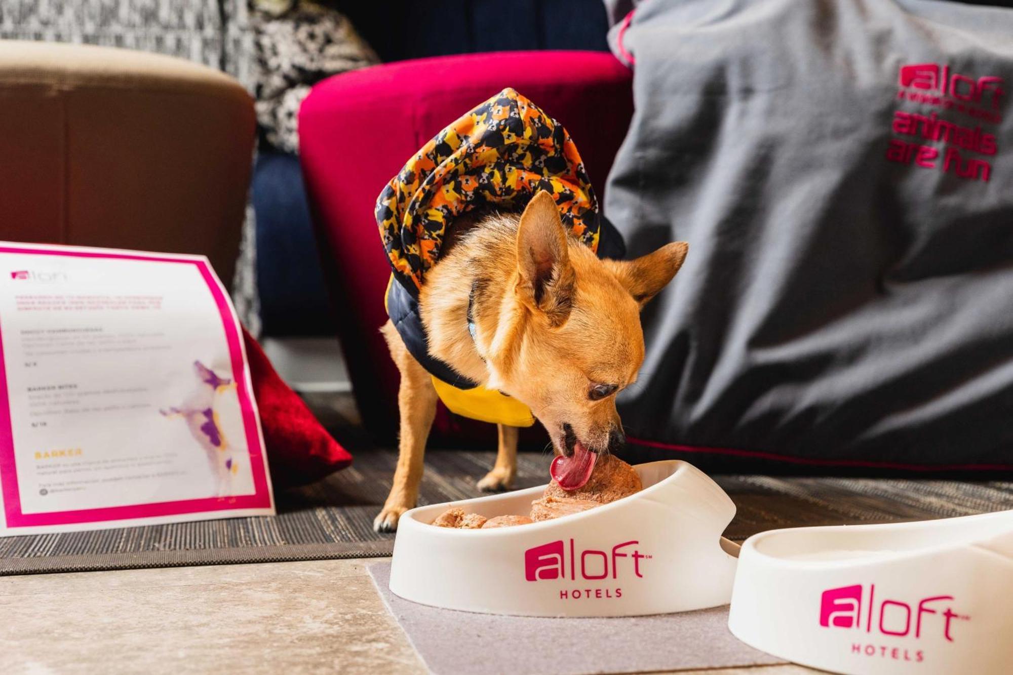 Aloft Lima Miraflores Eksteriør billede
